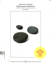 Organizational Behavior : A Practical, Problem-Solving Approach