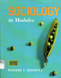 Sociology in modules